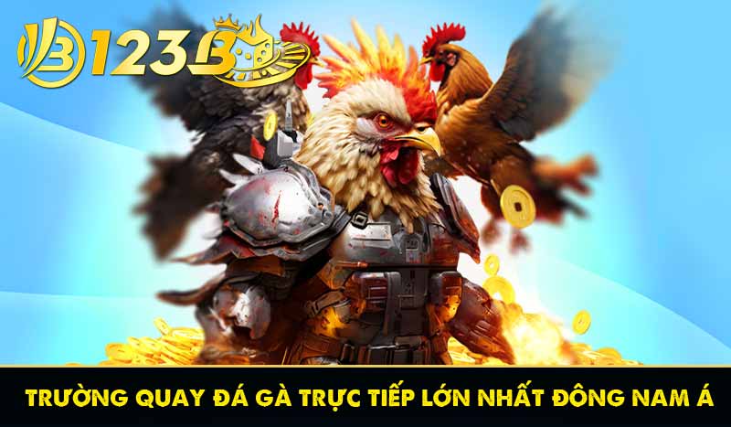 TRANG CHỦ 22 trường quay đá gà trực tiếp lớn nhất đông nam á